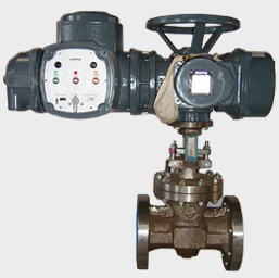 Motorized Gate Valve(IBR+ Radiography)