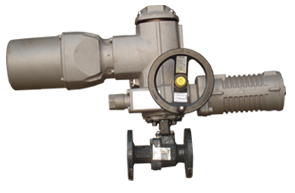 Electric Induction Motor, Electric Induction Motors, Electric Actuator, Electric Actuators, Pneumatic Actuator, Pneumatic Actuators, Motorized Gate Valve, Motorized Gate Valves, Motorized Globe Valve, Motorized Globe Valves, Non return Check Valve, Non return Check Valves, Ball Valve, Ball Valves