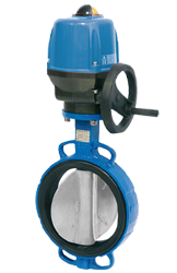 Electric Induction Motor, Electric Induction Motors, Electric Actuator, Electric Actuators, Pneumatic Actuator, Pneumatic Actuators, Motorized Gate Valve, Motorized Gate Valves, Motorized Globe Valve, Motorized Globe Valves, Non return Check Valve, Non return Check Valves, Ball Valve, Ball Valves