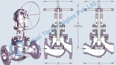 Globe Valves