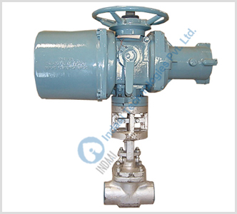 Motorized Gate & Globe Valves