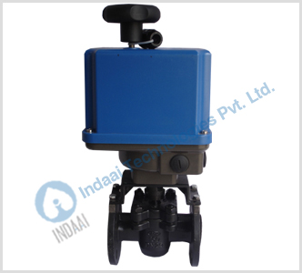 Motorized Plug Valves